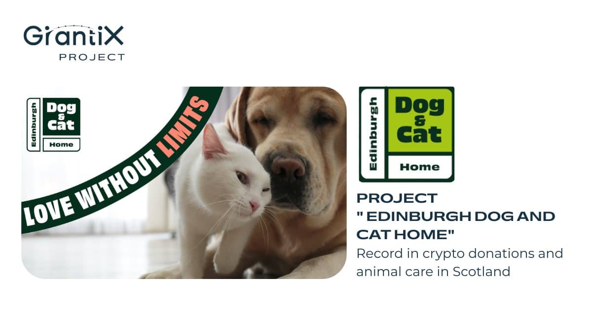 Edinburgh Dog and Cat Home: record in crypto donations and animal care in Scotland