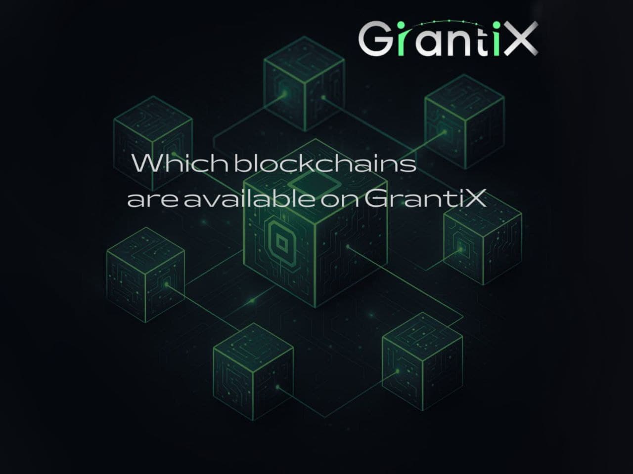 Which blockchains are available on GrantiX