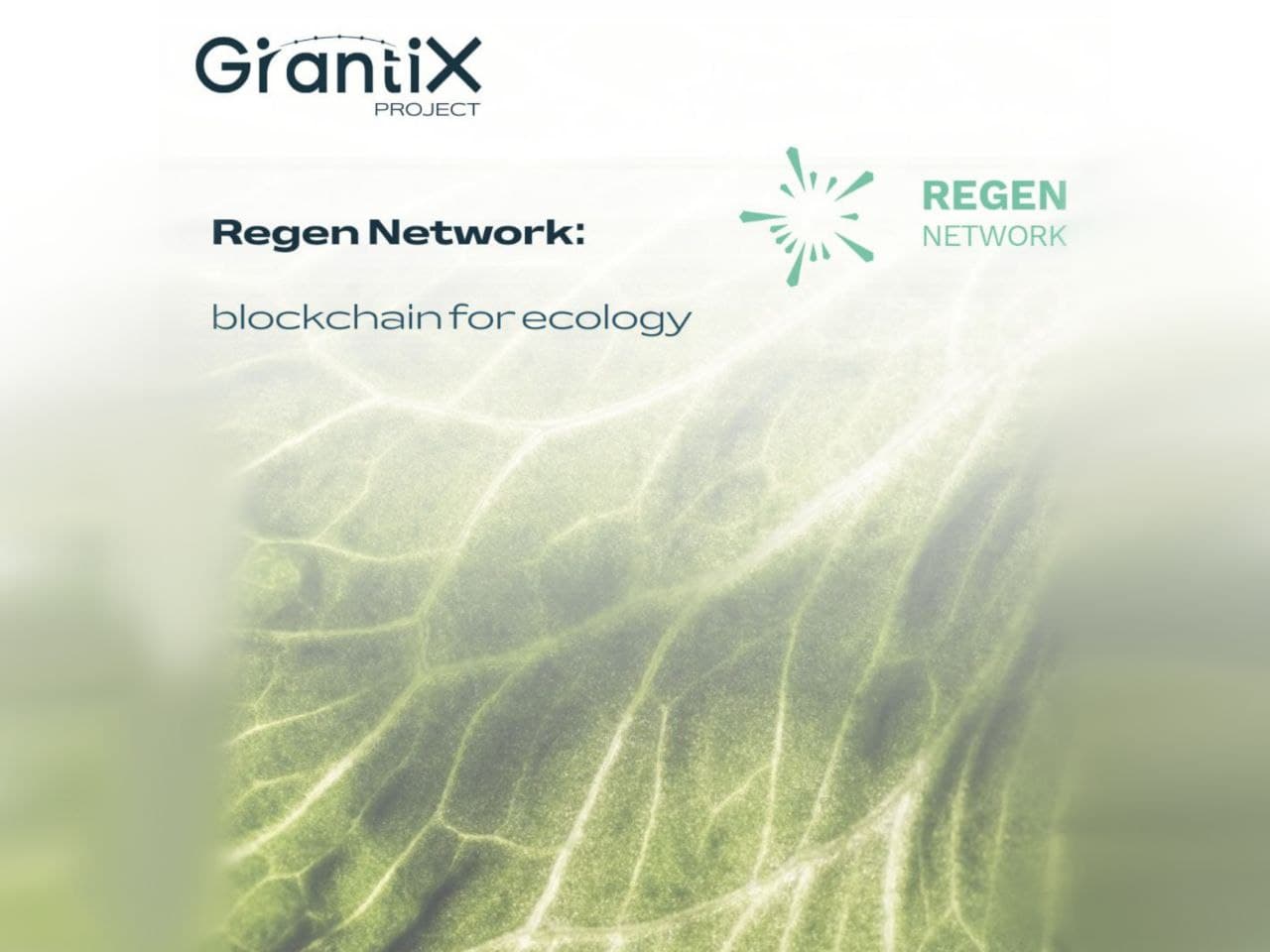 Project: Regen Network