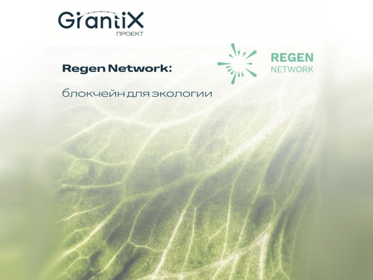 Проект: Regen Network