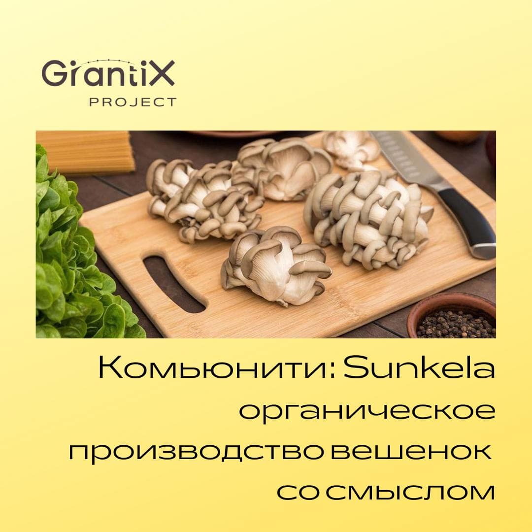 Sunkela Project