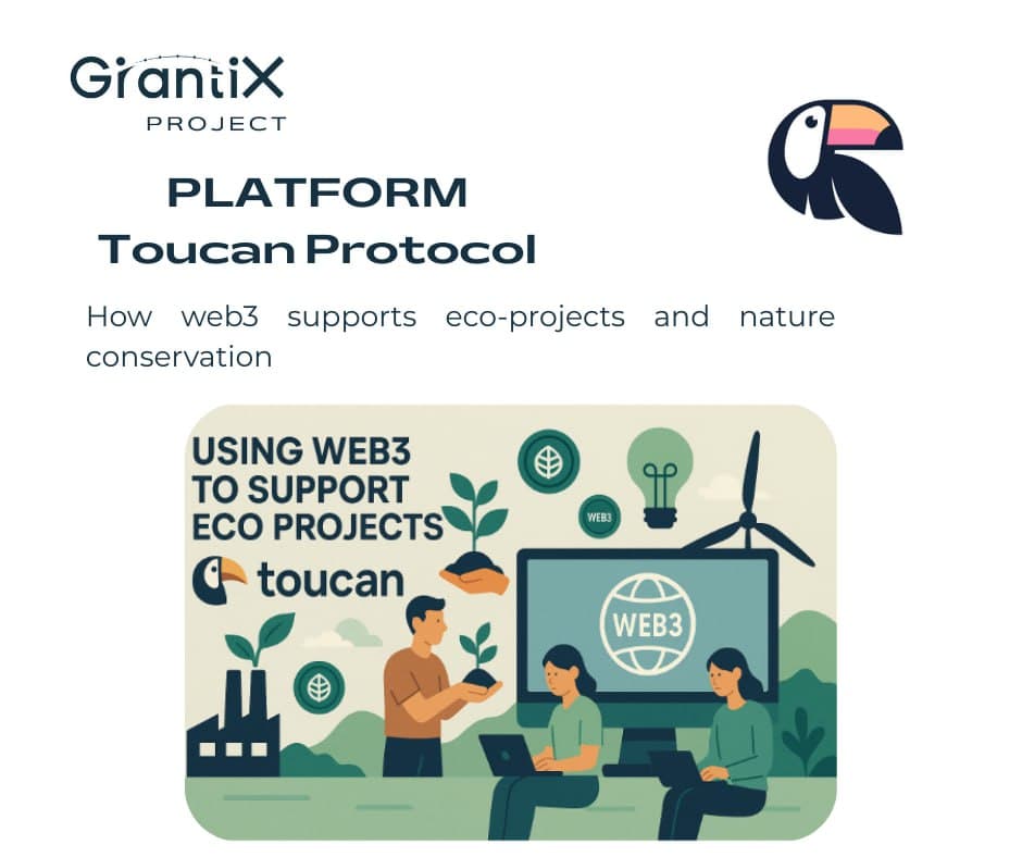 Toucan Protocol: How web3 supports eco-projects and nature conservation