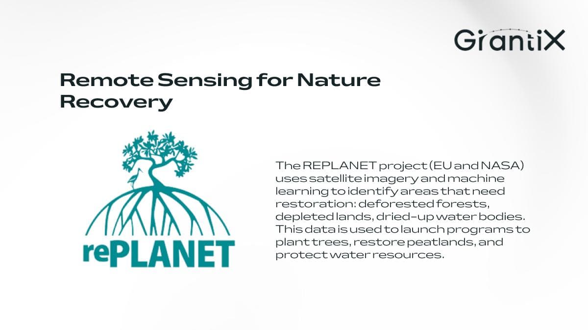 How Satellites and AI Are Saving the Planet