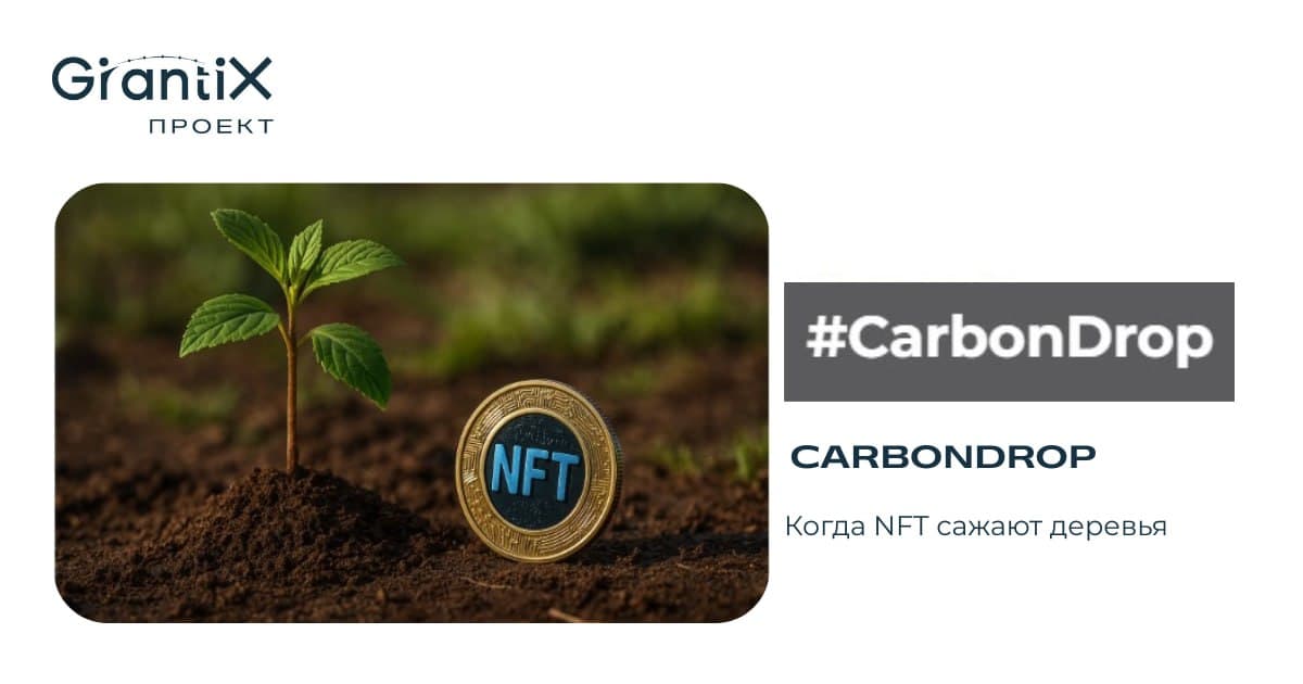 CarbonDrop: когда NFT сажают деревья