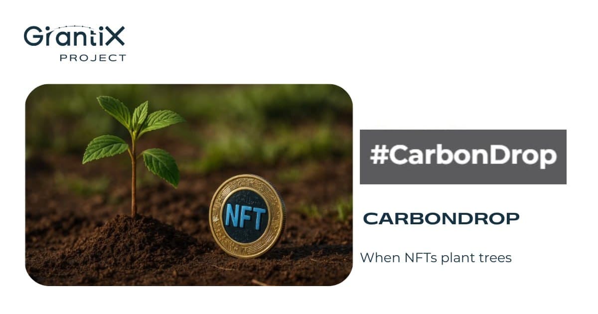 CarbonDrop: when NFTs plant trees