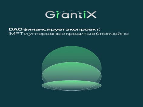 DAO финансирует экопроект: IMPT и углеродные кредиты в блокчейне