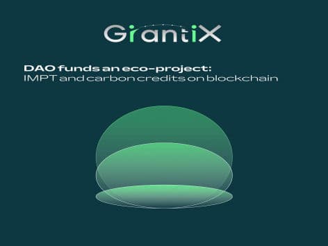 DAO funds an eco-project: IMPT and carbon credits on blockchain
