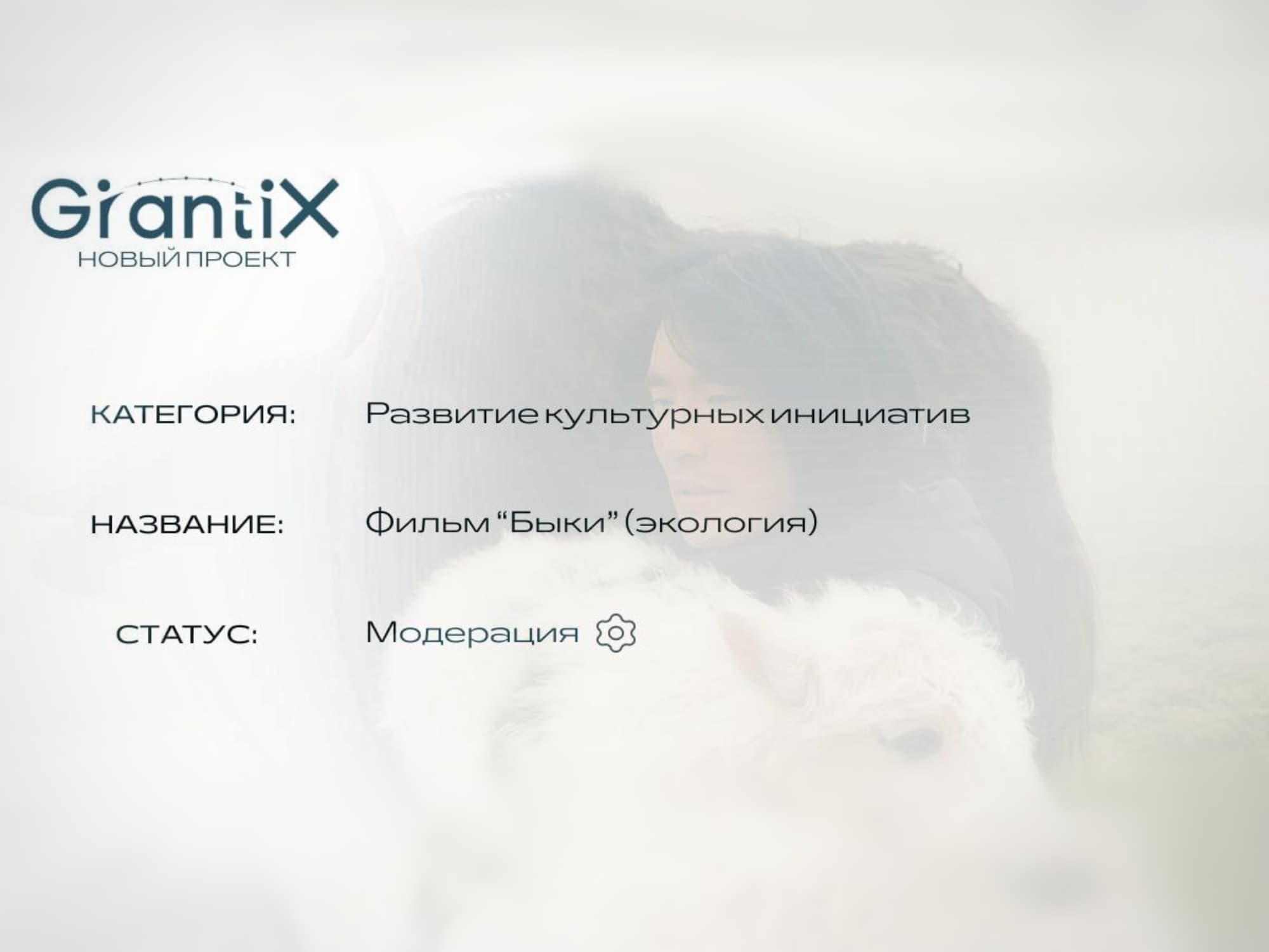 New project on GrantiX: documentary film "Bulls"