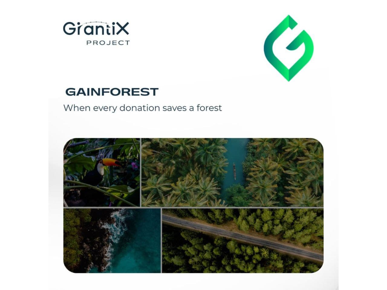 GainForest: when every donation saves a forest