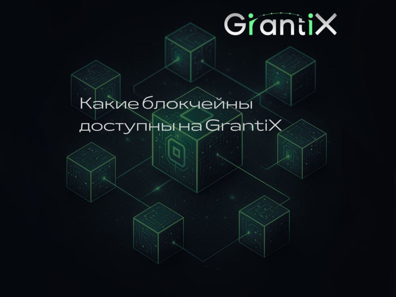 Какие блокчейны доступны на GrantiX