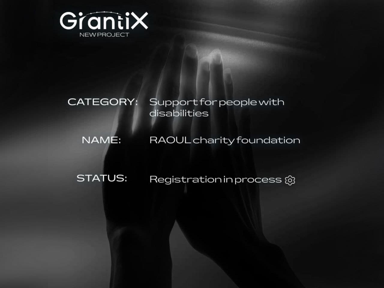 New application: The RAOUL Charity Foundation