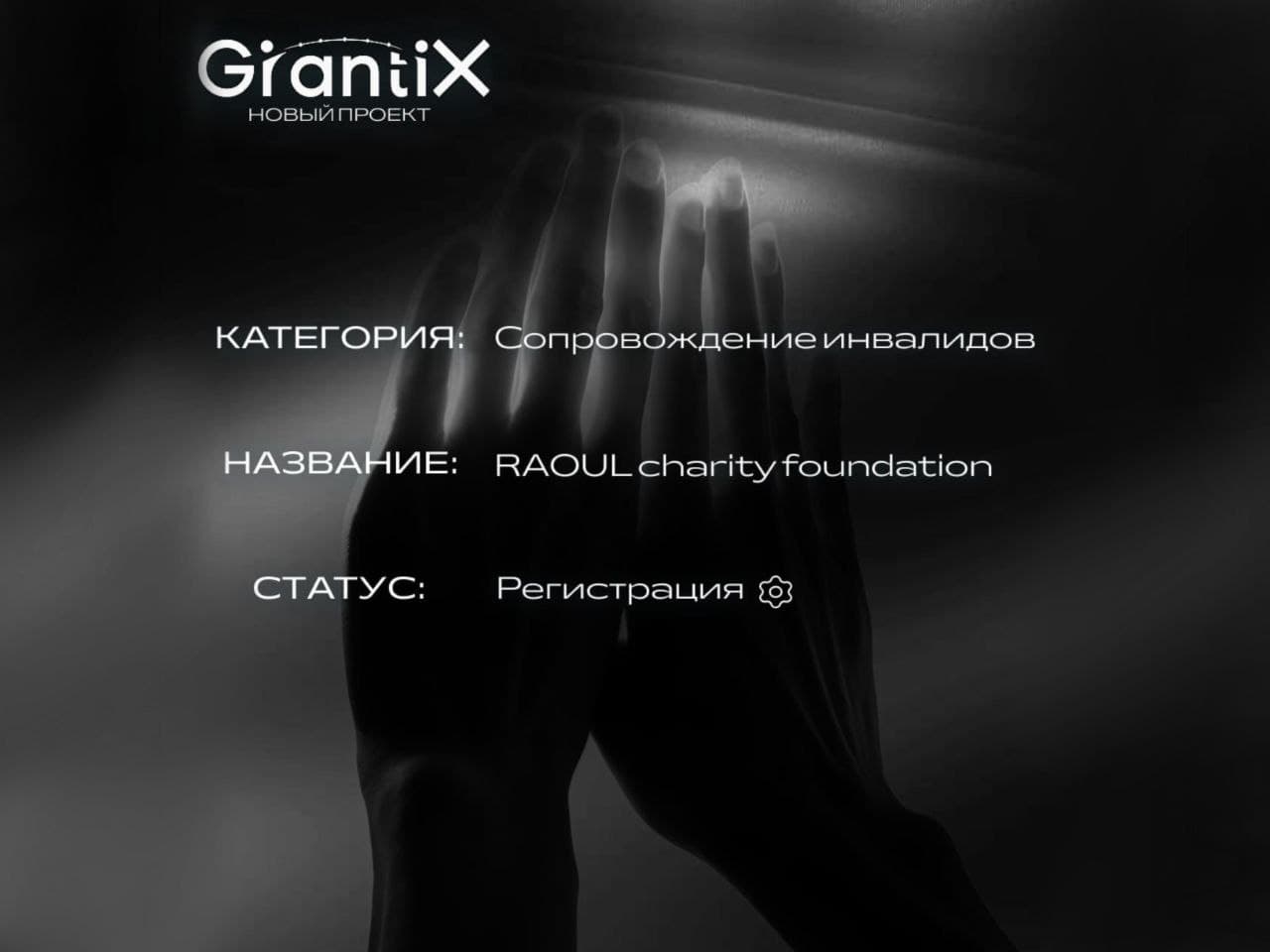 Новая заявка: RAOUL Charity Foundation