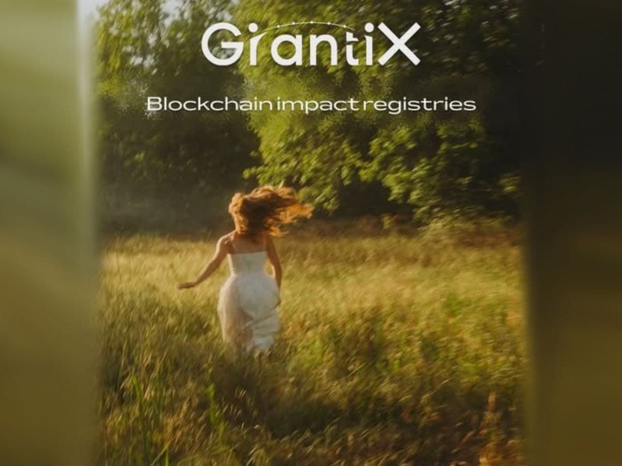 Impact ledgers on the blockchain