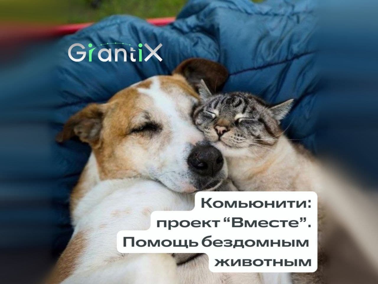 На Grantix появился новый проект