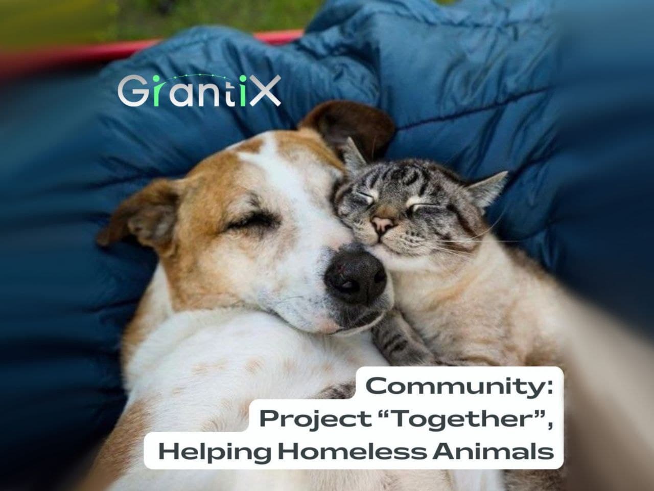 A new project has just launched on GrantiX